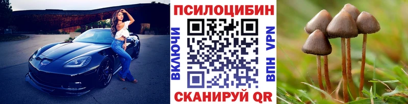 Галлюциногенные грибы мицелий  Белинский 